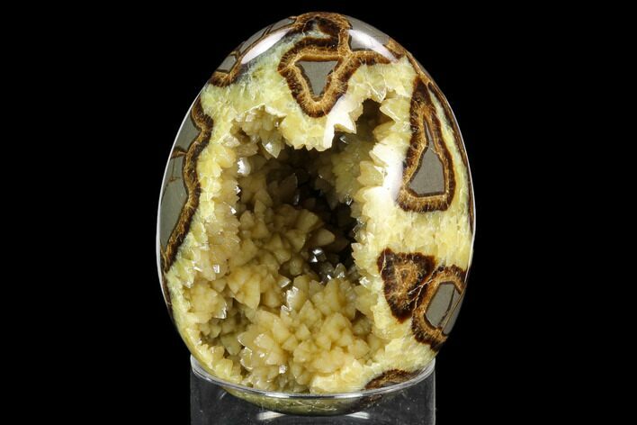 Calcite Crystal Filled Septarian Geode Egg - Utah #123847